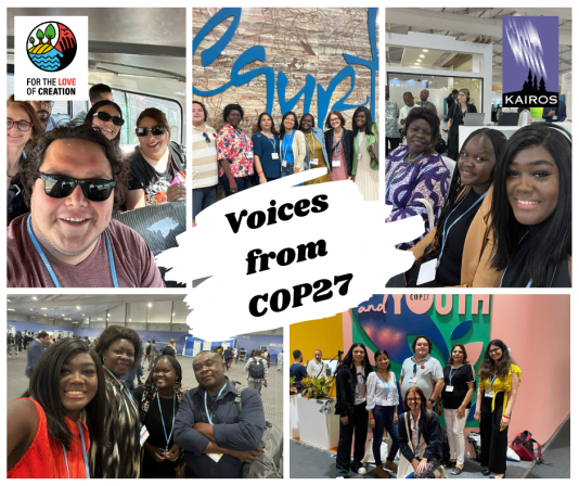 Collage of images of the delegates at COP27